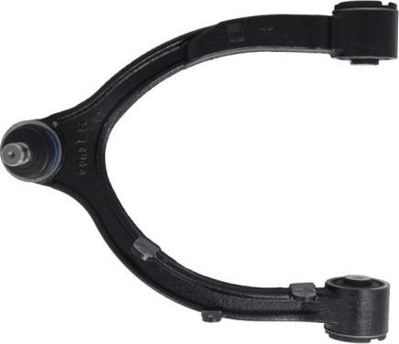 REINHOCH RH04-6053 - Важіль незалежної підвіски колеса autozip.com.ua