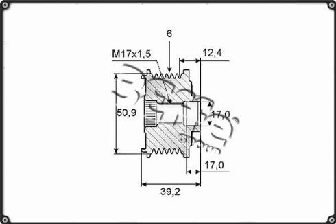 3Effe Group F0226G - Ремінний шків, генератор autozip.com.ua