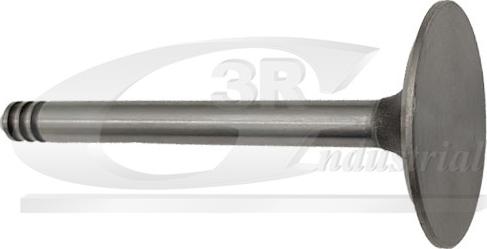 3RG 87216 - Впускний клапан autozip.com.ua