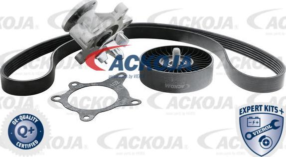 ACKOJA A52-0207 - Поликлиновий ремінний комплект autozip.com.ua