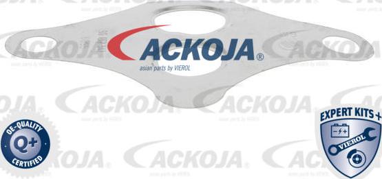 ACKOJAP A51-63-0005 - Клапан повернення ОГ autozip.com.ua