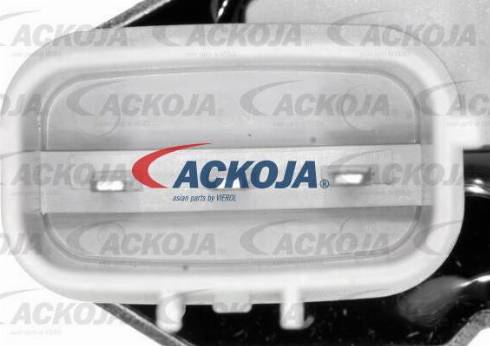 ACKOJAP A51-0208 - Водяний насос + комплект зубчатого ременя autozip.com.ua