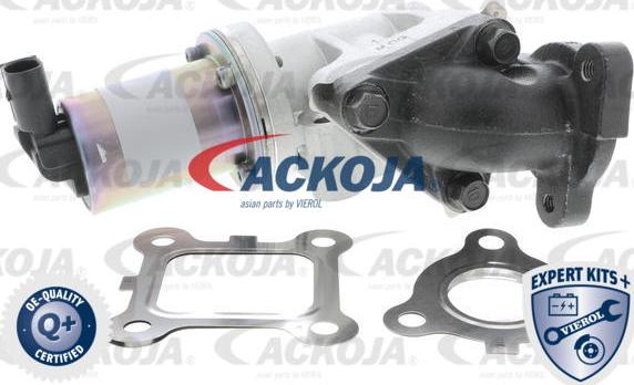 ACKOJAP A53-63-0001 - Клапан повернення ОГ autozip.com.ua