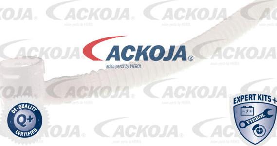 ACKOJAP A53-09-0005 - Паливний насос autozip.com.ua