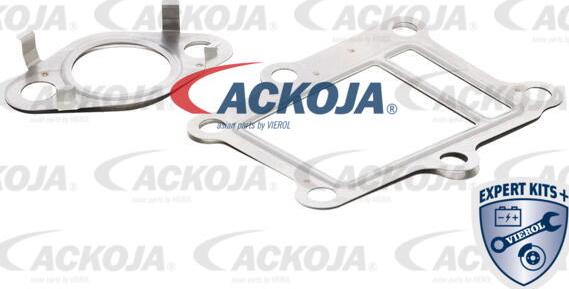 ACKOJAP A52-63-9013 - Комплект прокладок, AGR-система autozip.com.ua