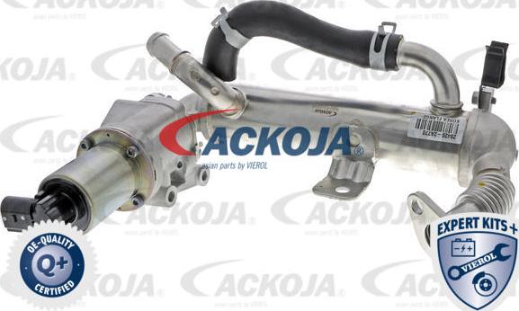 ACKOJAP A52-63-0018 - Клапан повернення ОГ autozip.com.ua