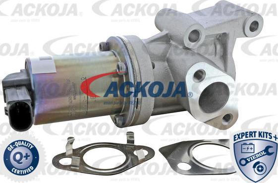ACKOJAP A52-63-0020 - Клапан повернення ОГ autozip.com.ua