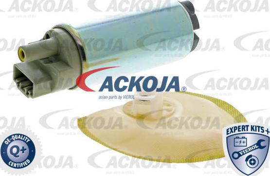ACKOJAP A52-09-0007 - Модуль паливного насоса autozip.com.ua