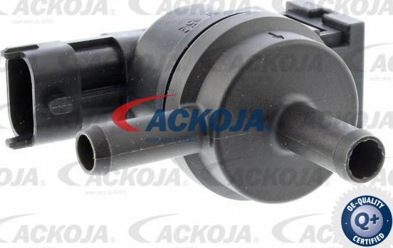 ACKOJAP A52-77-0019 - Клапан, фільтр активованого вугілля autozip.com.ua