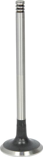 AE V94609 - Випускний клапан autozip.com.ua