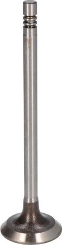 AE V95001 - Впускний клапан autozip.com.ua