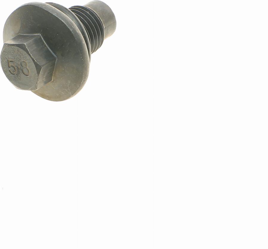 AIC 52110 - Різьбова пробка, масляний піддон autozip.com.ua