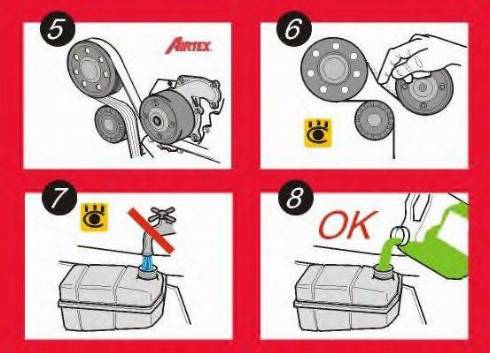 Airtex WPK-170302 - Водяний насос + комплект зубчатого ременя autozip.com.ua