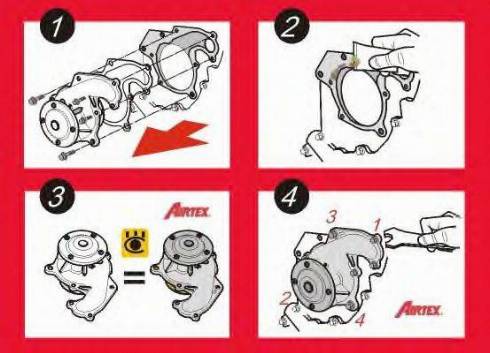 Airtex WPK-170302 - Водяний насос + комплект зубчатого ременя autozip.com.ua