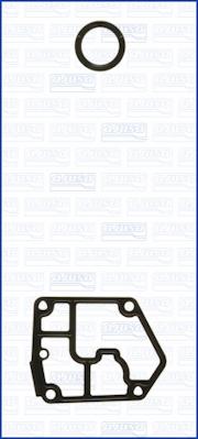 Ajusa 54134700 - Комплект прокладок, блок-картер двигуна autozip.com.ua