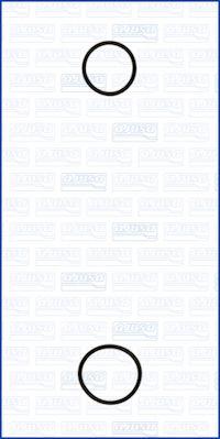 Ajusa 77001900 - Комплект прокладок, водяний насос autozip.com.ua