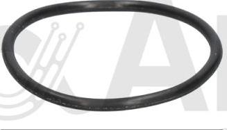 Alfa e-Parts AF10773 - Прокладка, термостат autozip.com.ua