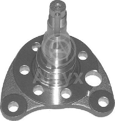 Aslyx AS-190541 - Маточина колеса autozip.com.ua