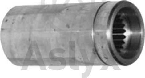 Aslyx AS-202833 - Гайка осі, приводний вал autozip.com.ua