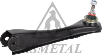 AS Metal 23RN4080 - Важіль незалежної підвіски колеса autozip.com.ua