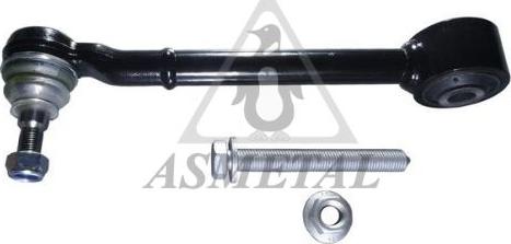 AS Metal 23TY0210 - Важіль незалежної підвіски колеса autozip.com.ua