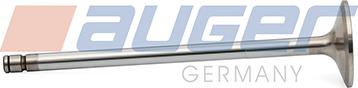 Auger 108973 - Впускний клапан autozip.com.ua