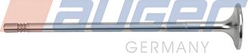 Auger 108972 - Впускний клапан autozip.com.ua