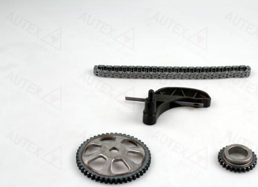 Autex 711384 - Комплект ланцюга, привід масляного насоса autozip.com.ua