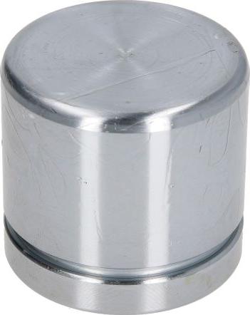 AUTOFREN SEINSA D025491 - Поршень, корпус скоби гальма autozip.com.ua