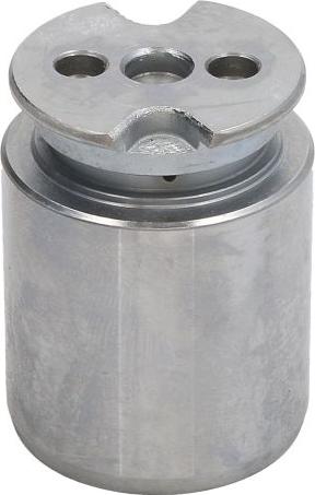 AUTOFREN SEINSA D025422 - Поршень, корпус скоби гальма autozip.com.ua