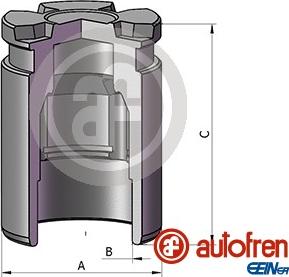 AUTOFREN SEINSA D025698 - Поршень, корпус скоби гальма autozip.com.ua