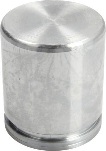 AUTOFREN SEINSA D025502 - Поршень, корпус скоби гальма autozip.com.ua