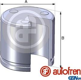 AUTOFREN SEINSA D02551 - Поршень, корпус скоби гальма autozip.com.ua