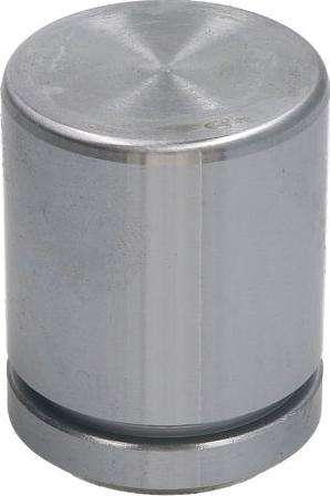 AUTOFREN SEINSA D025386 - Поршень, корпус скоби гальма autozip.com.ua