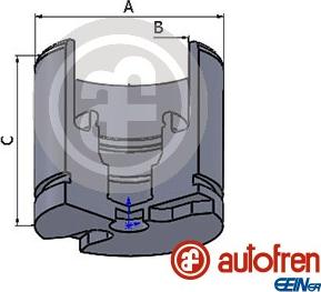 AUTOFREN SEINSA D025256 - Поршень, корпус скоби гальма autozip.com.ua