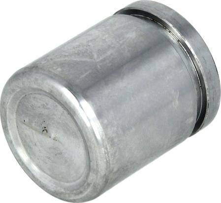 AUTOFREN SEINSA D025266 - Поршень, корпус скоби гальма autozip.com.ua