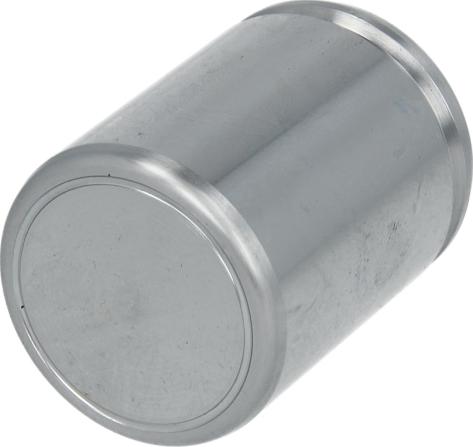 AUTOFREN SEINSA D025227 - Поршень, корпус скоби гальма autozip.com.ua