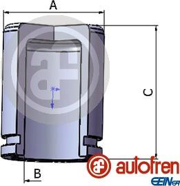 AUTOFREN SEINSA D025770 - Поршень, корпус скоби гальма autozip.com.ua