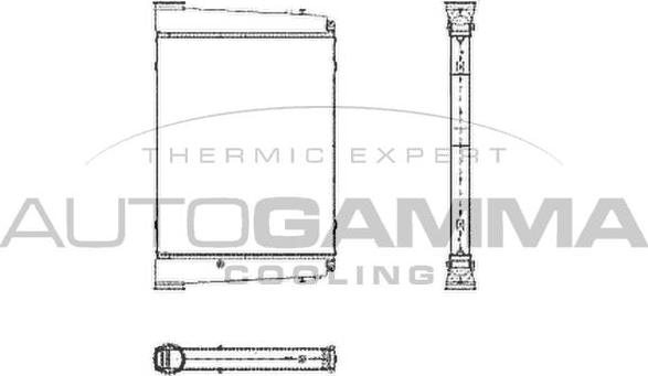Autogamma 404748 - Интеркулер autozip.com.ua