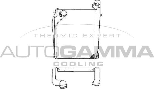 Autogamma 402162 - Интеркулер autozip.com.ua