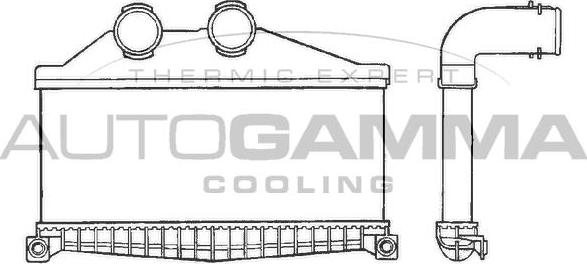Autogamma 402172 - Интеркулер autozip.com.ua