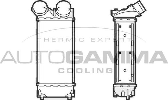 Autogamma 104491 - Интеркулер autozip.com.ua