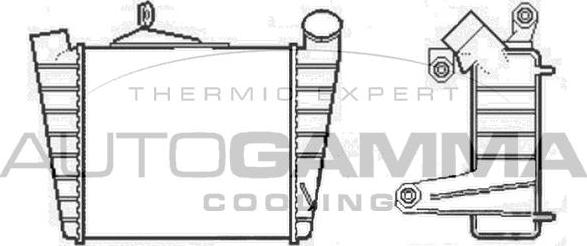 Autogamma 105191 - Интеркулер autozip.com.ua