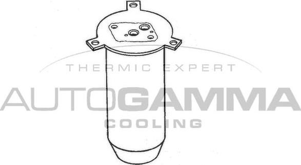 Autogamma 106160 - Осушувач, кондиціонер autozip.com.ua
