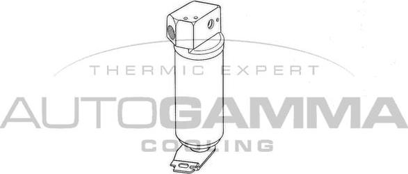 Autogamma 106131 - Осушувач, кондиціонер autozip.com.ua