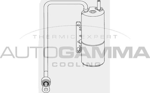 Autogamma 106305 - Осушувач, кондиціонер autozip.com.ua