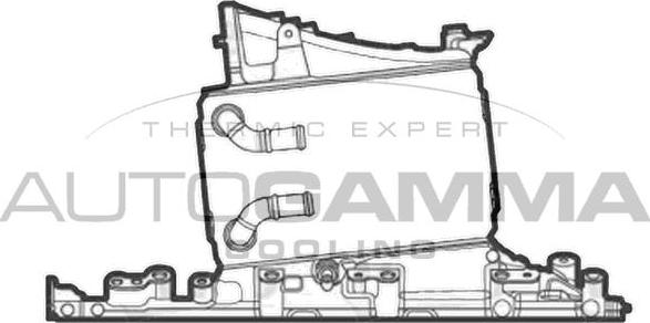 Autogamma 107913 - Интеркулер autozip.com.ua