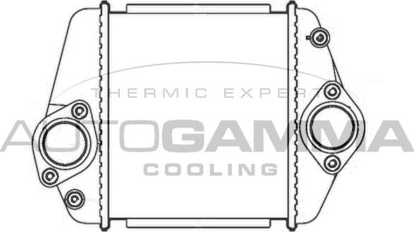 Autogamma 107323 - Интеркулер autozip.com.ua