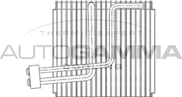 Autogamma 112144 - Випарник, кондиціонер autozip.com.ua