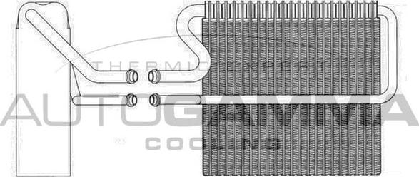 Autogamma 112187 - Випарник, кондиціонер autozip.com.ua